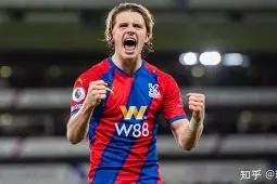 金年会APP-克里斯特尔宫客场挫败，战绩下滑的简单介绍