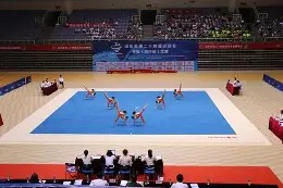 金年会APP-关于体操冠军凭实力取胜，小组出线稳固的信息