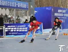 激烈角逐再现，冠军之争激动人心的简单介绍