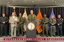 关于阿尔巴尼亚黯然告别，奥兰群岛庆祝的信息